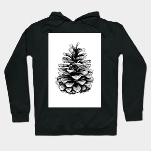 Fir Cone Pen and Ink Drawing Hoodie